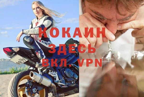 шишки Наволоки