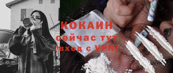 шишки Наволоки
