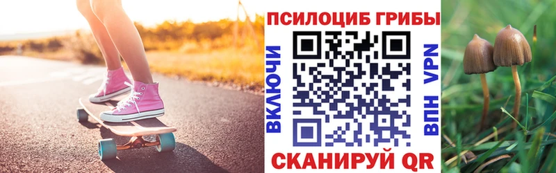 где купить наркоту  Нерехта  Галлюциногенные грибы Psilocybine cubensis 